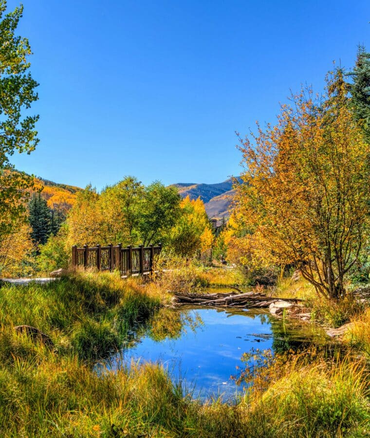 Pond surrounded by trees in autumn. Credit Pixabay