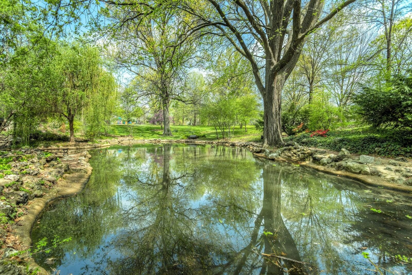 Pond surrounded by trees. Photo: Pixabay