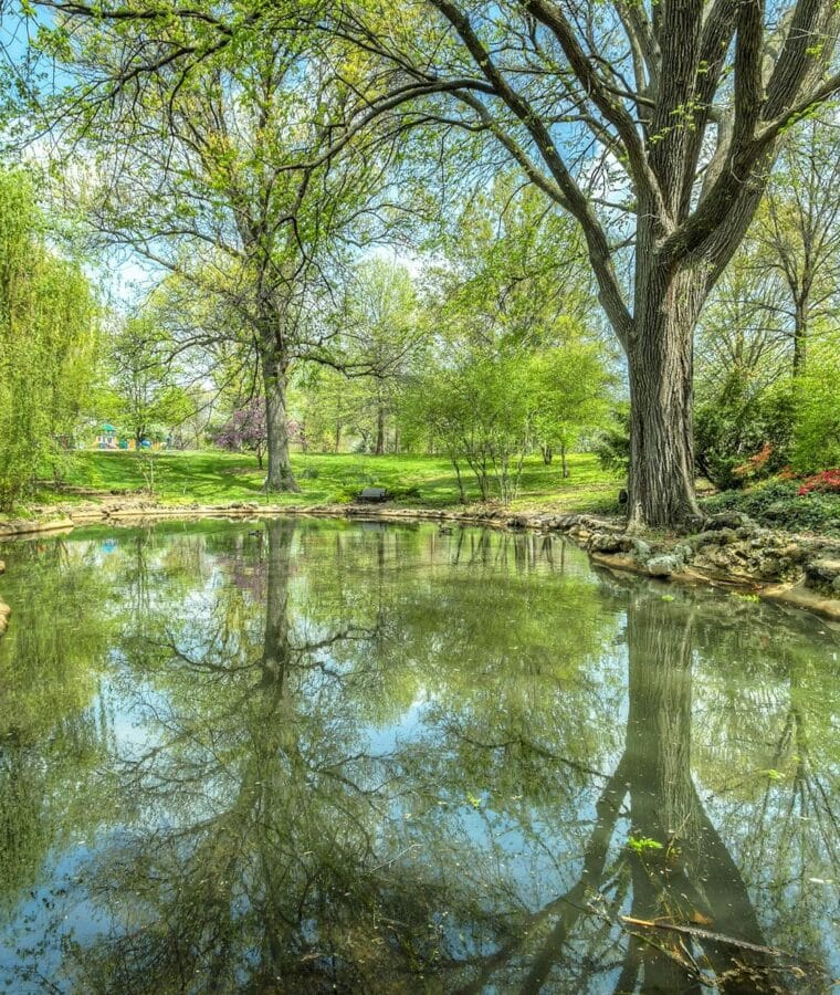 Pond surrounded by trees. Photo: Pixabay