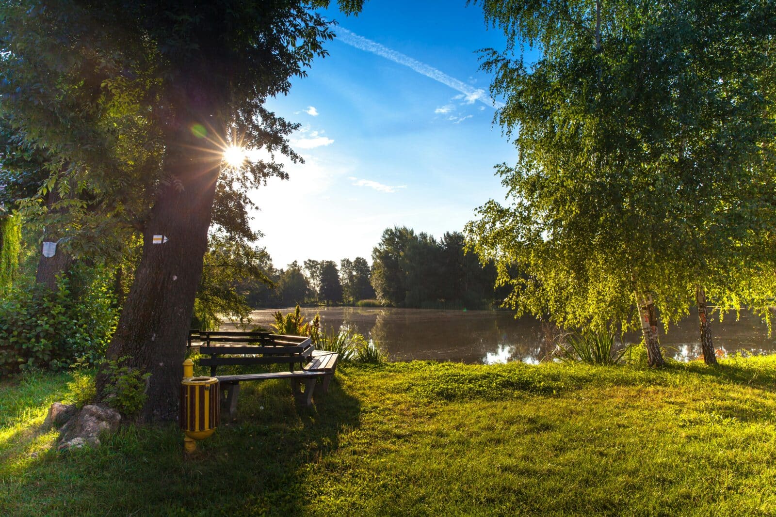 Waterway with trees around the bank and seating area under one of hte trees. Credit Pixabay