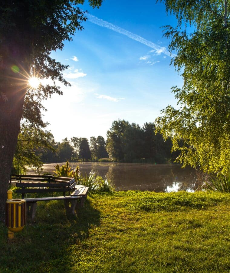 Waterway with trees around the bank and seating area under one of hte trees. Credit Pixabay