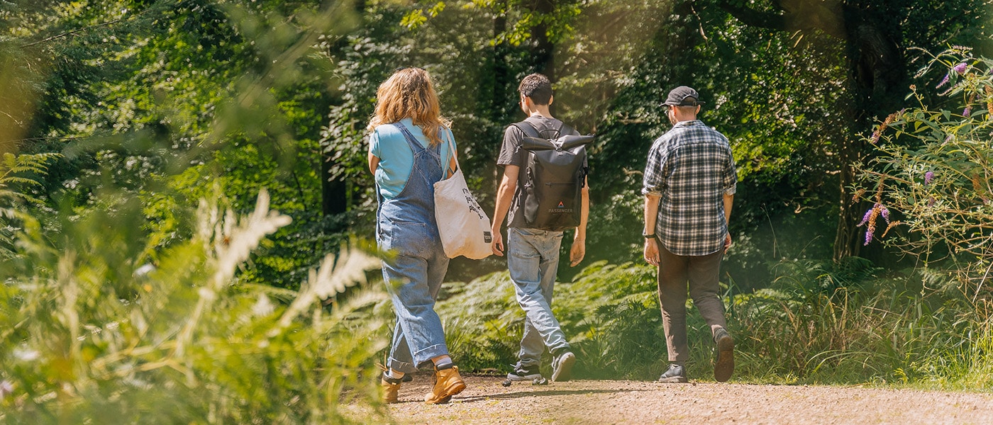 Forest wellbeing trail. Photo: Forestry England