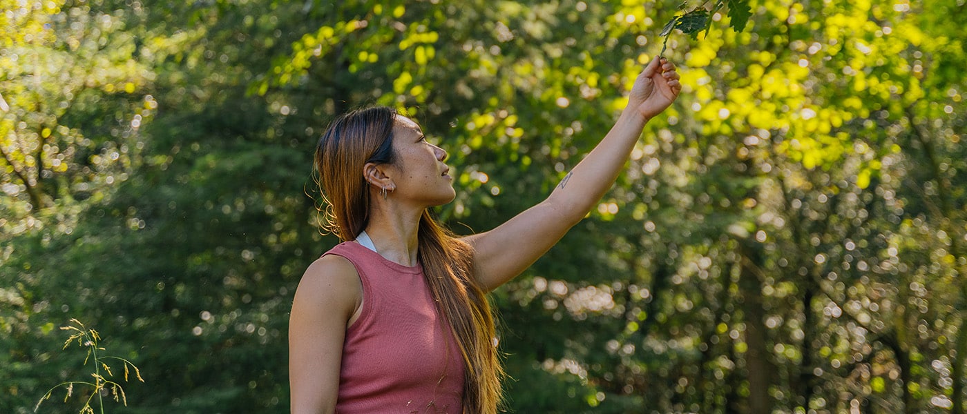 Forest wellbeing trail. Photo: Forestry England