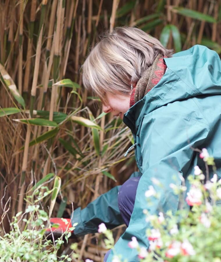 Ranger Ruth at Dorset County Hospital. Photo: Una Devlin/CSH 2025