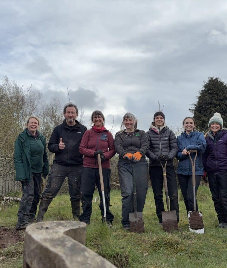 Millfields team day with Natural England and CSH