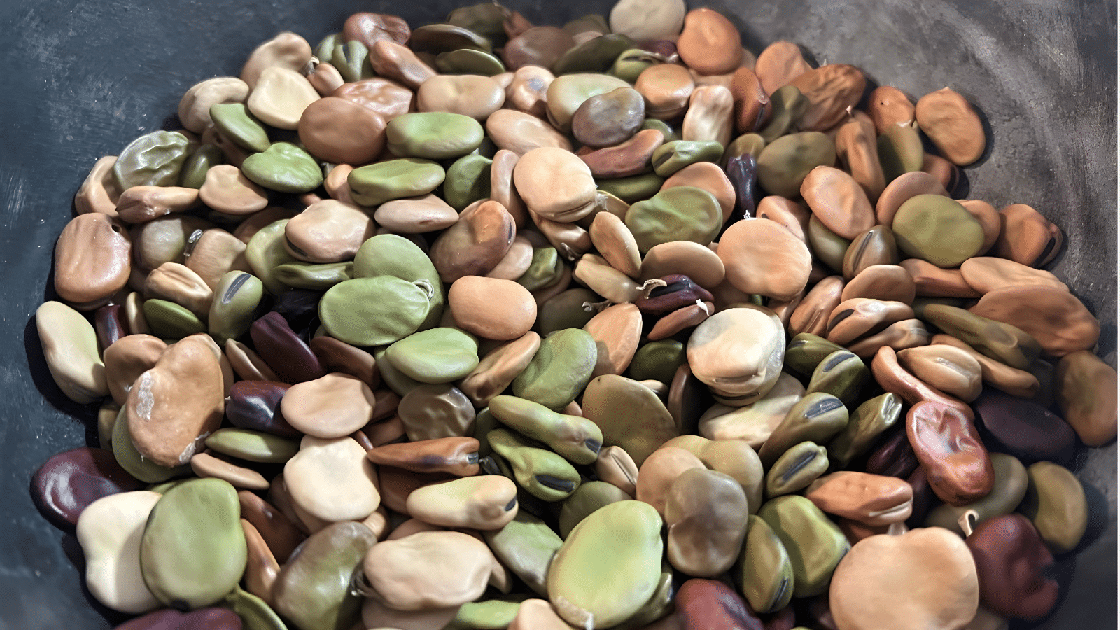 Broad beans