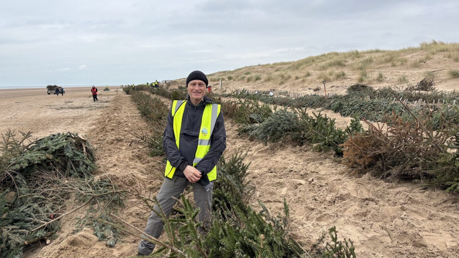 Nick White - Christmas Trees from Liverpool help restore Lancashire’s coastal dunes