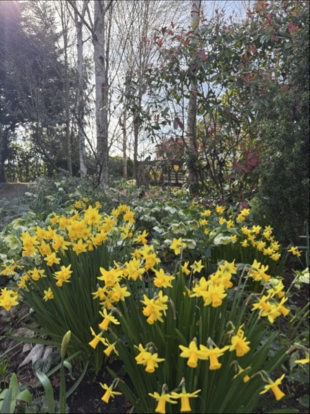 St Christophers Hospice Sydenham. All rights reserved.