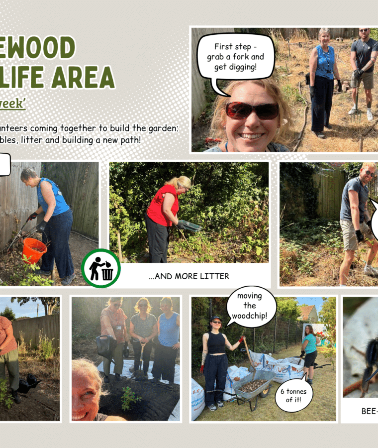 Hopewood Garden Project
